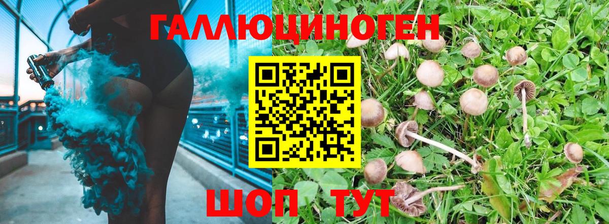 Галлюциногенные грибы мухоморы Семёнов