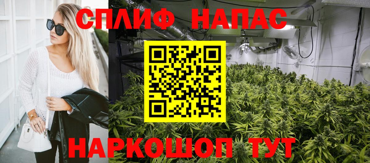 Канабис планчик Семёнов
